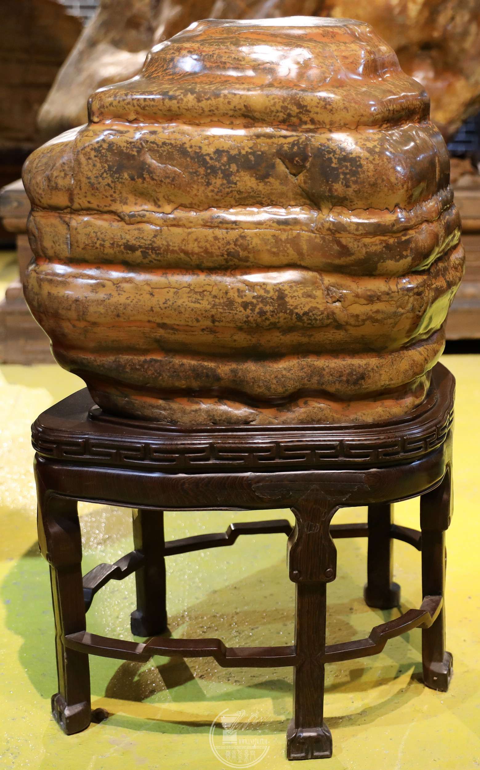 47ƣ ׵  ʯ  ʯBG1A6168.jpg