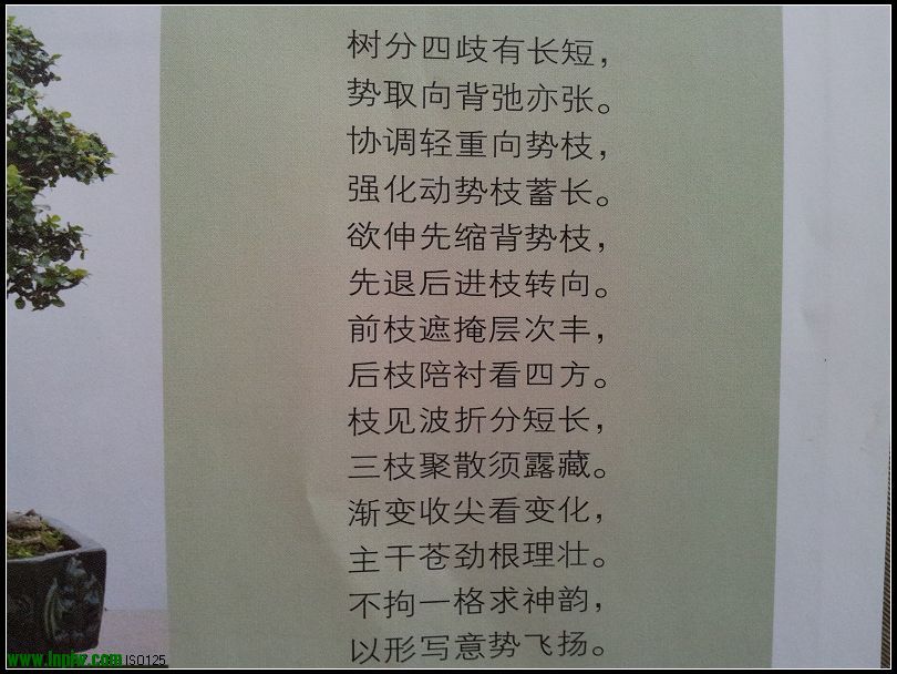 ھ.jpg
