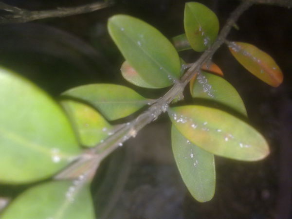 201302191465_.jpg