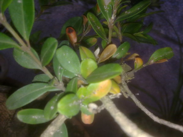 201302191467_.jpg