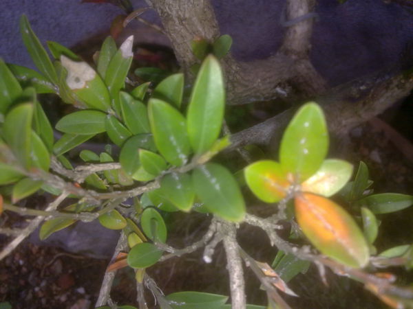 201302191469_.jpg