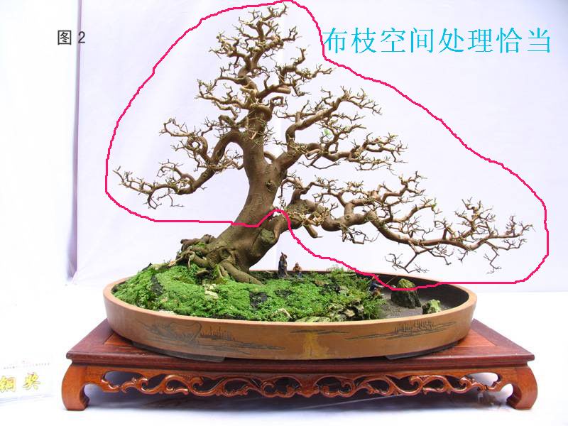 071225aa6wuifsao3r1hcw_jpg_thumb.jpg