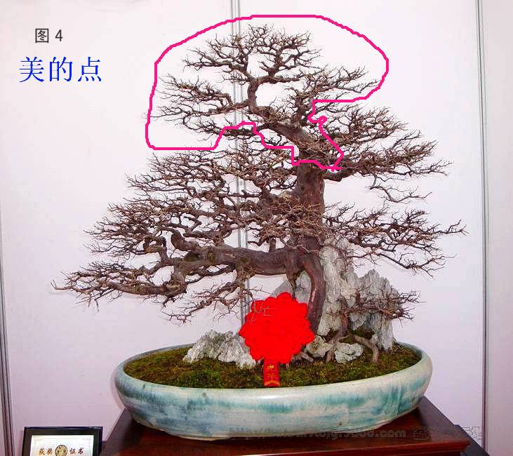 071230p6x3wekkbo6dr5rq_jpg_thumb.jpg