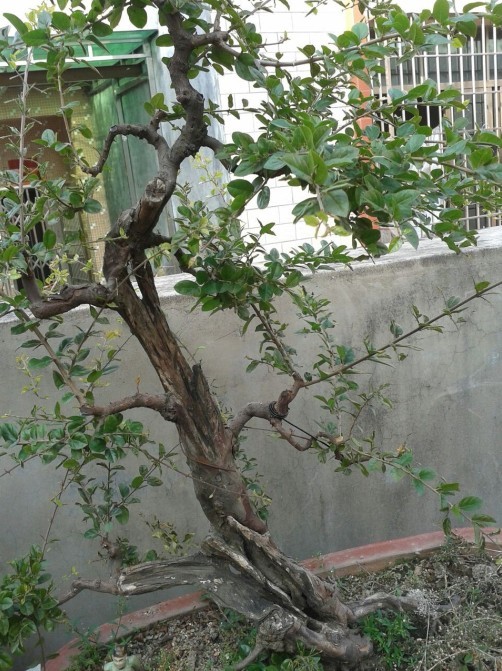 QQͼƬ20131024161225.jpg