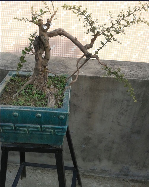 QQͼƬ20131024161232.jpg