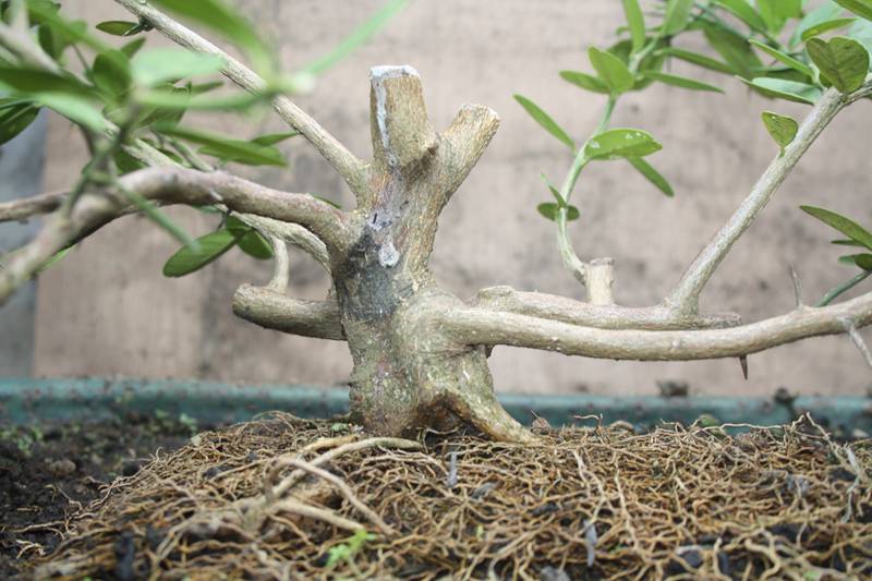Ƭ20131026ۺ 270.jpg