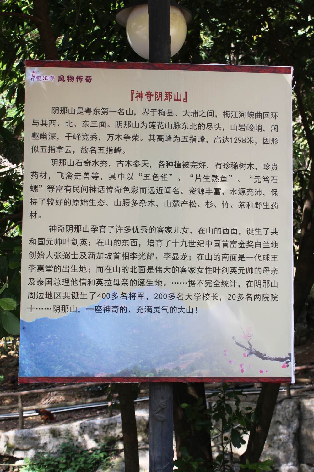 nEO_IMG_IMG_8464.jpg