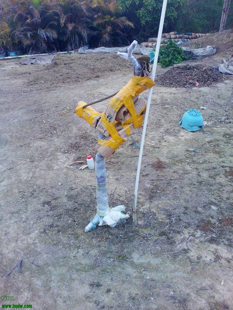 IMG20140223003.jpg