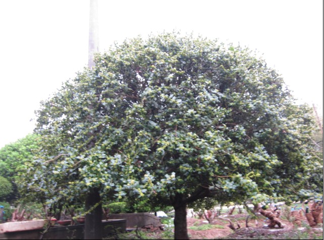 QQͼƬ20140329193629.jpg