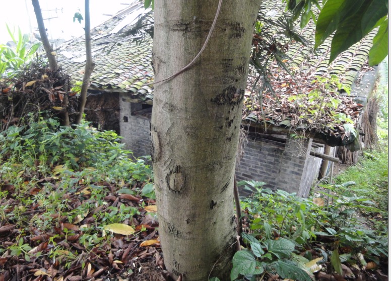 QQͼƬ20140428160346.jpg