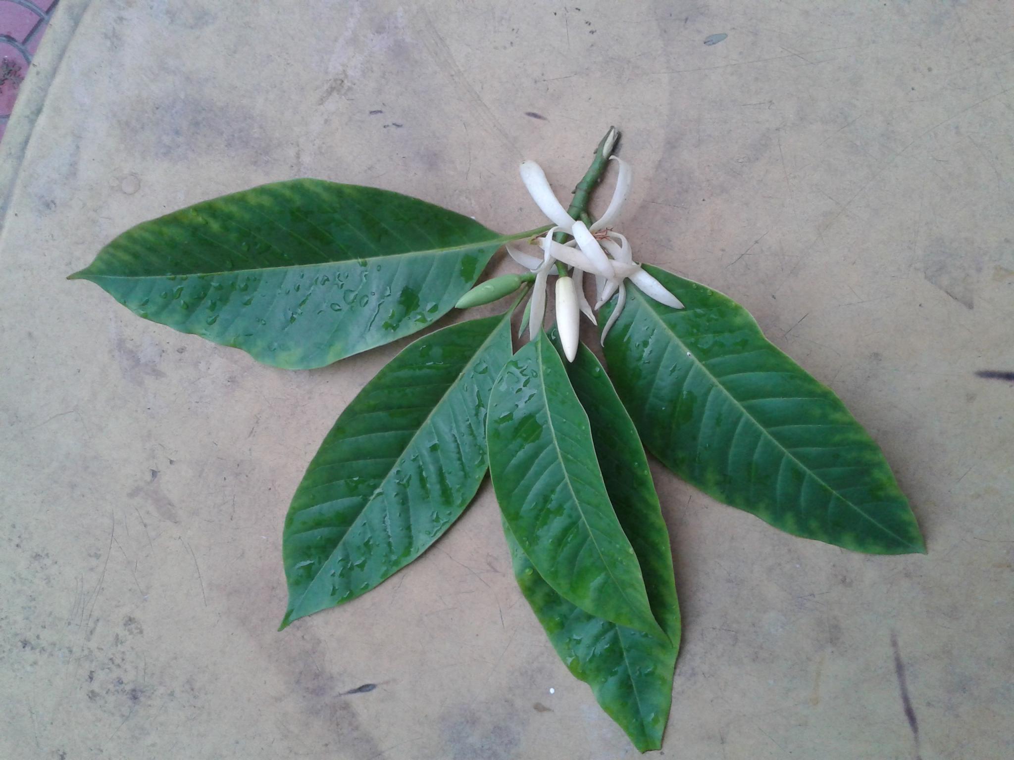 20140519_172514.jpg