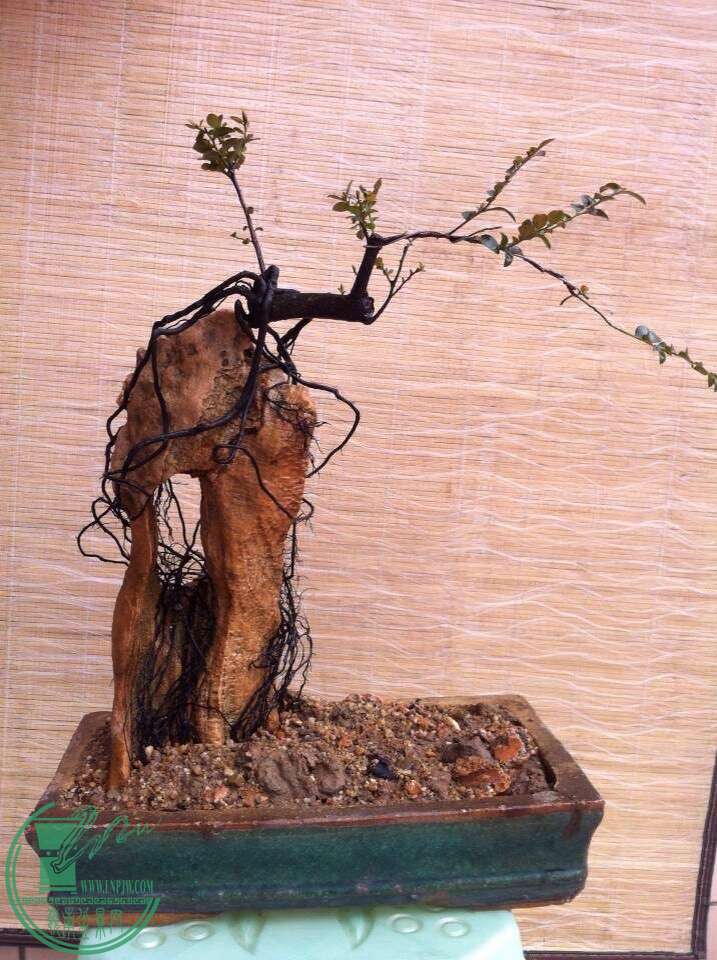 QQͼƬ20150109134824.jpg
