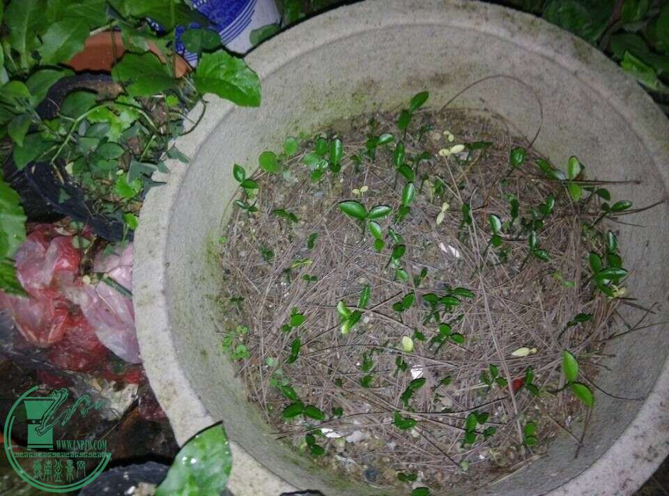 QQͼƬ20150321222631.jpg