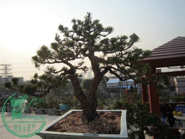 2010,,,111 091.jpg