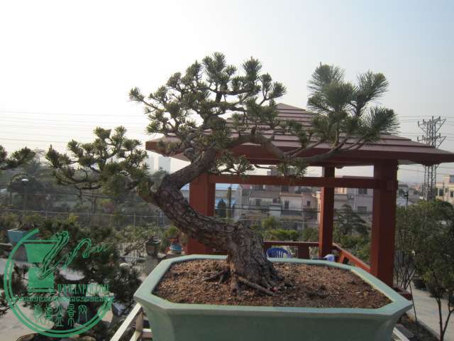 2010,,,111 090.jpg