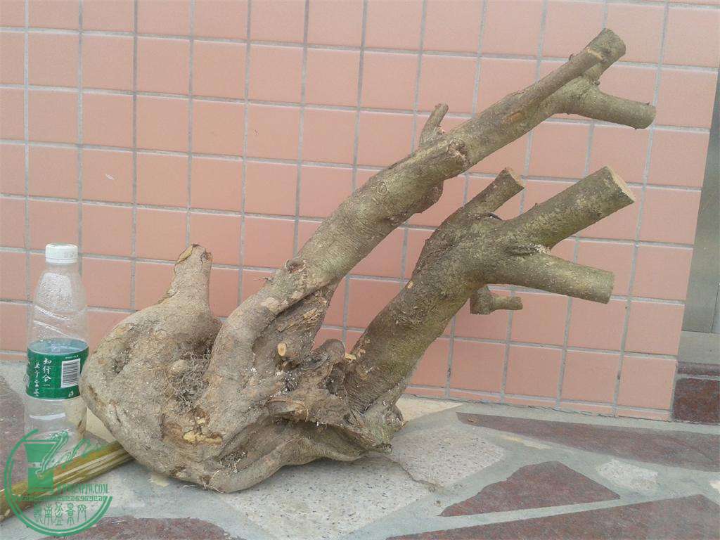 20160309_171510.jpg