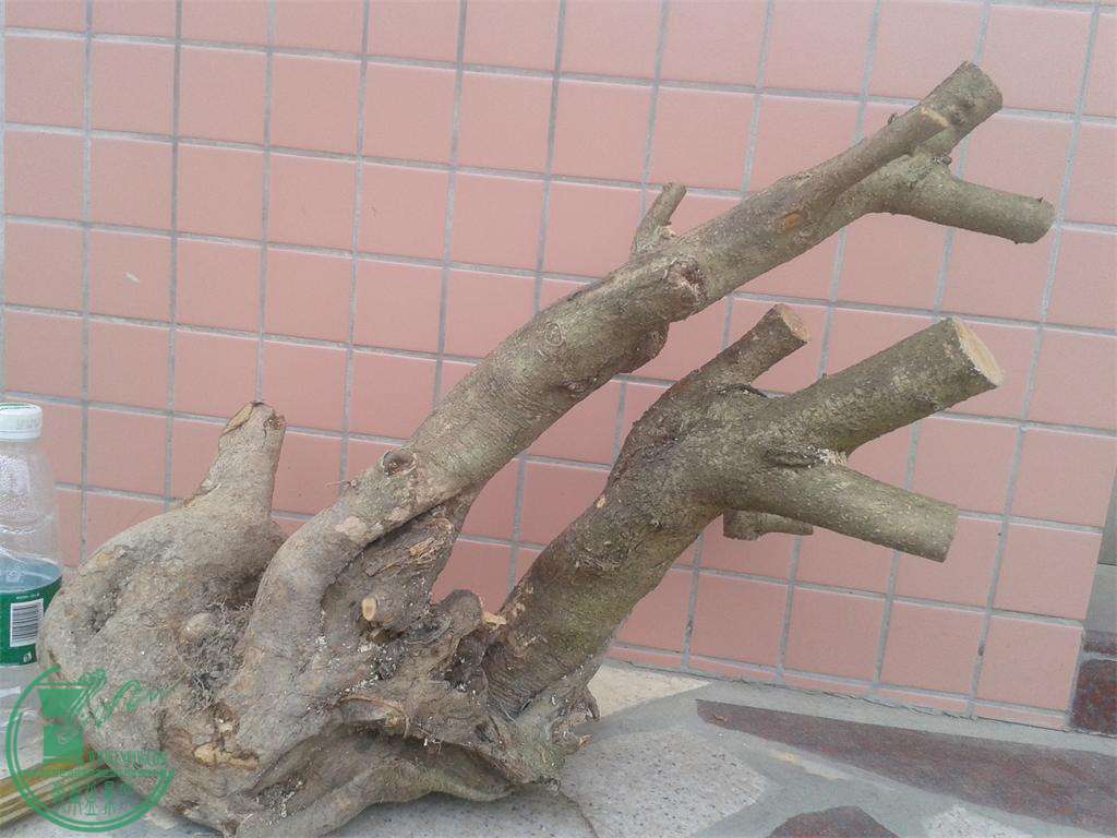 20160309_171532.jpg