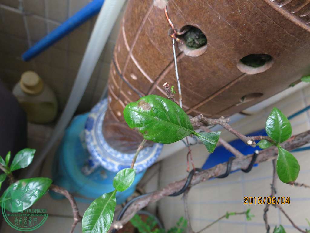 img_2653_.jpg
