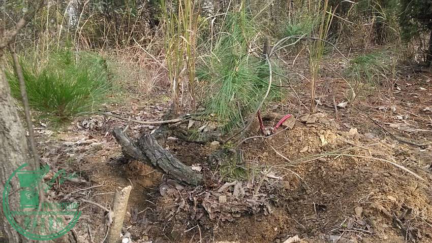 conew_img_20161203_132238_conew1.jpg