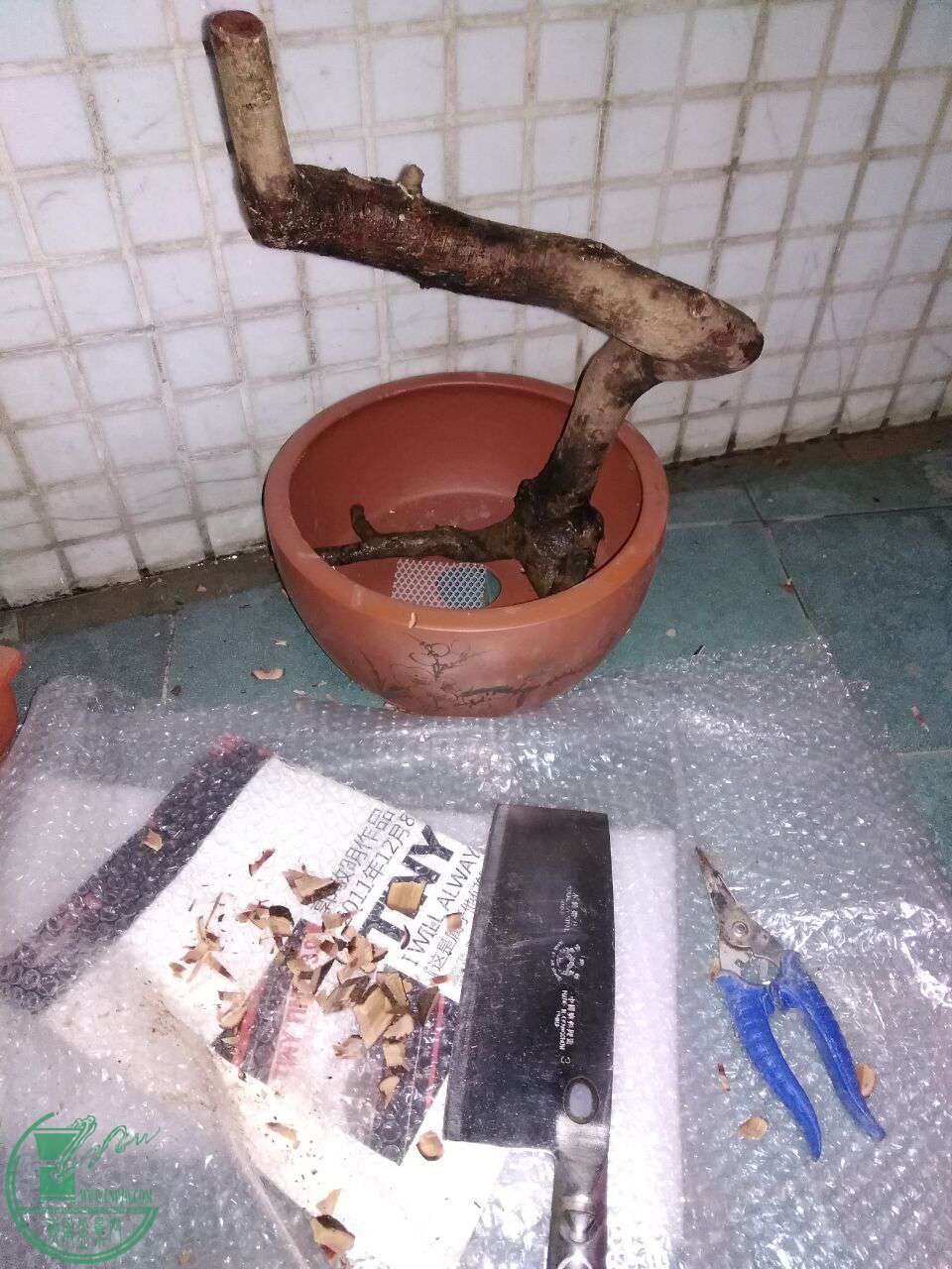 1012.jpg