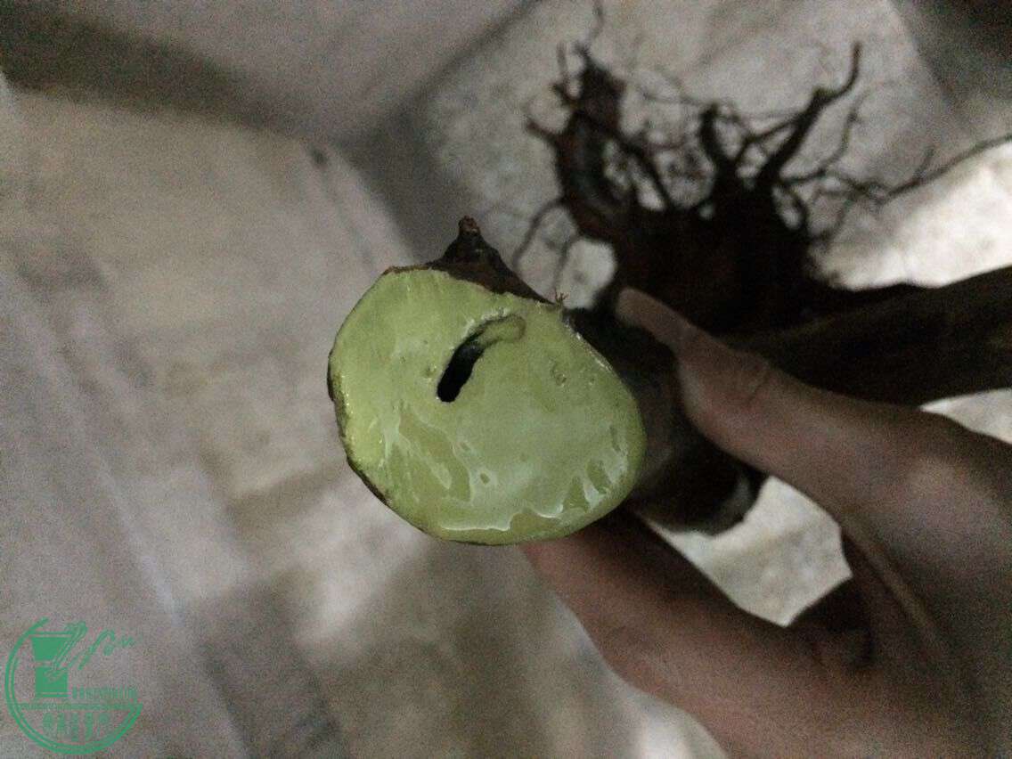 QQͼƬ20170312223351.jpg