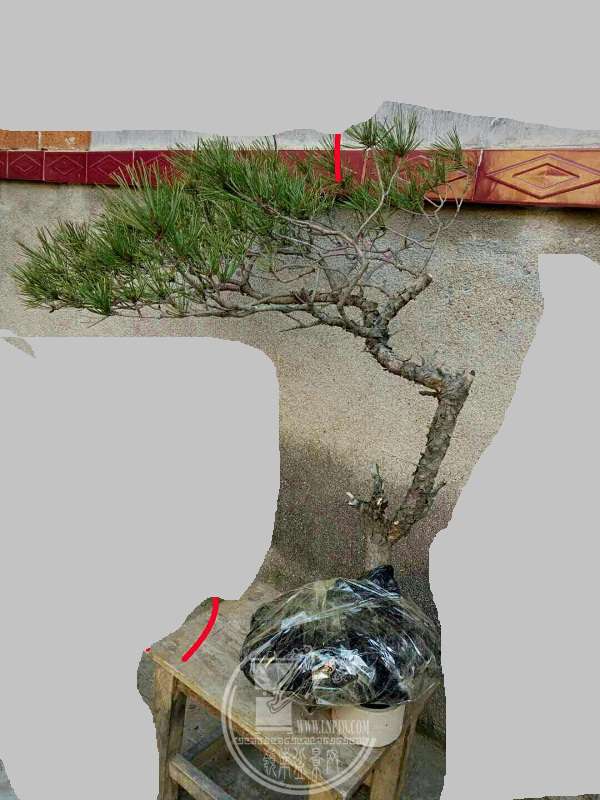 376682763895804241.jpg