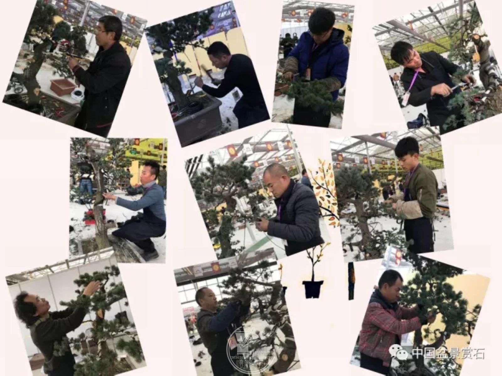 QQͼƬ20171209222251.jpg