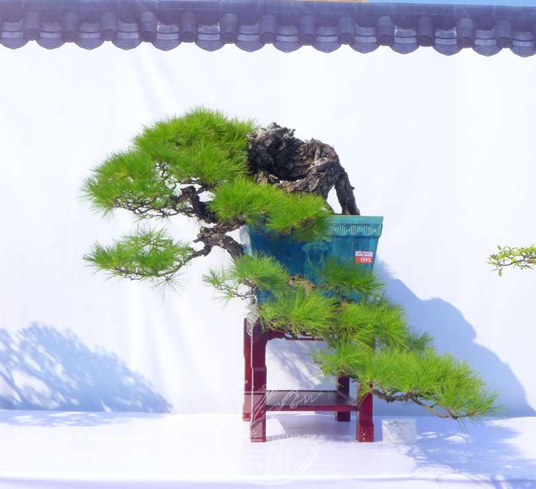 P1120858_.jpg