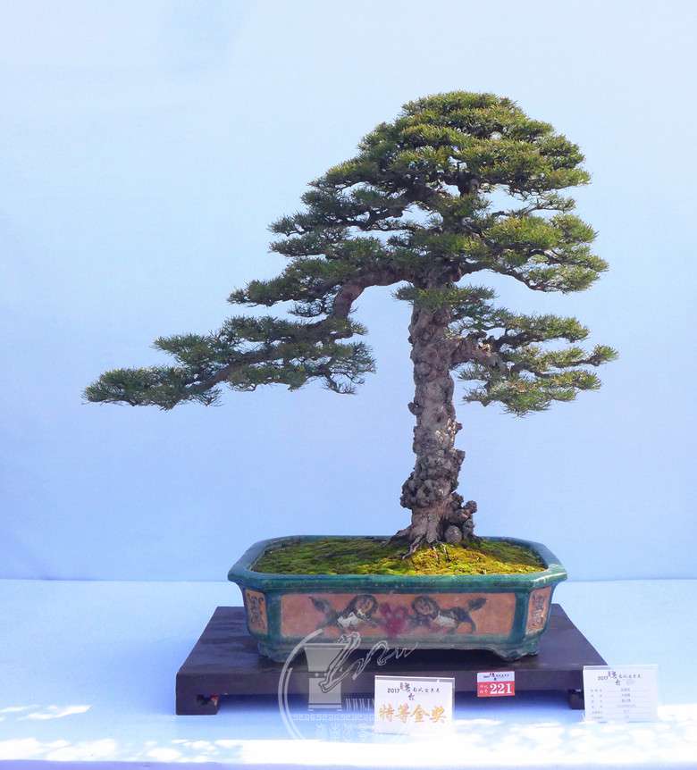P1120898_.jpg