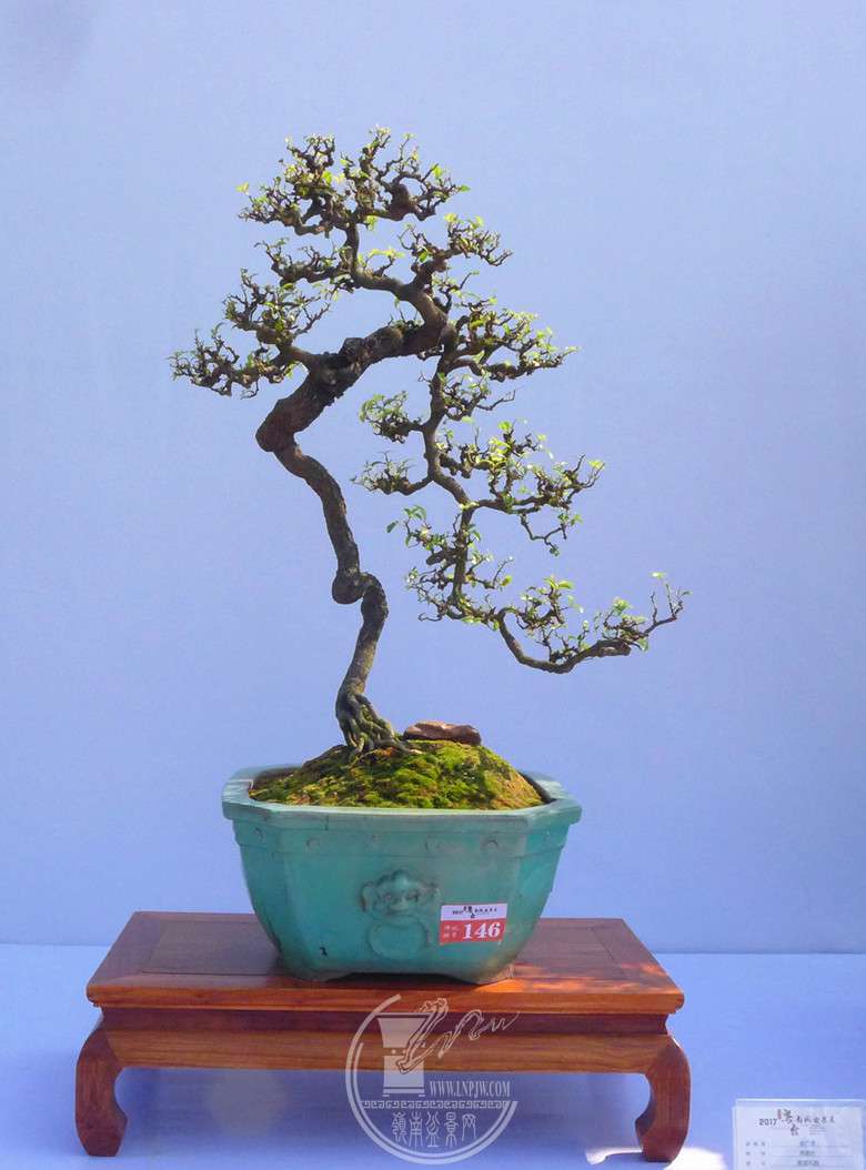 P1120926_.jpg