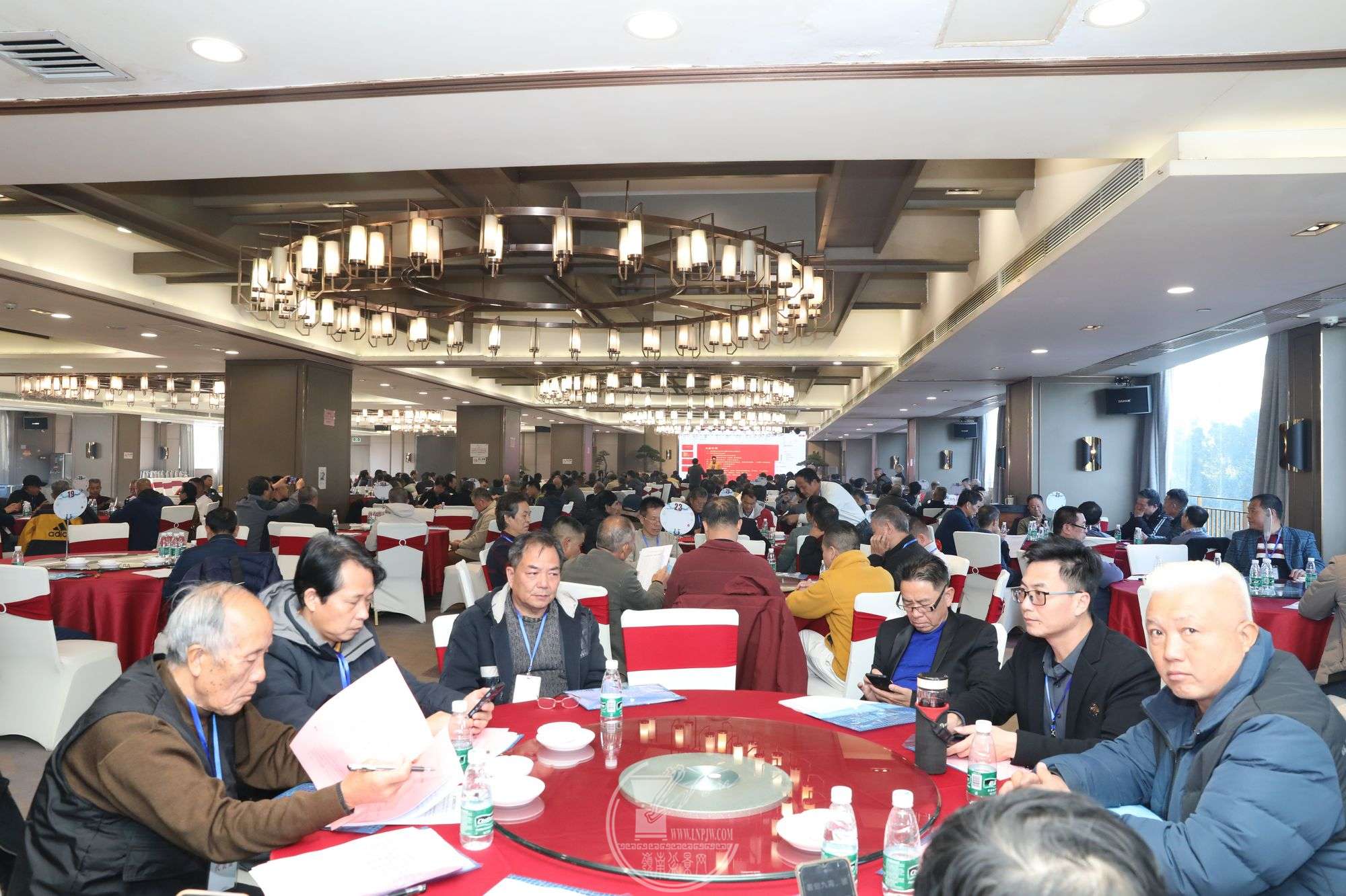 4BG1A7438.jpg