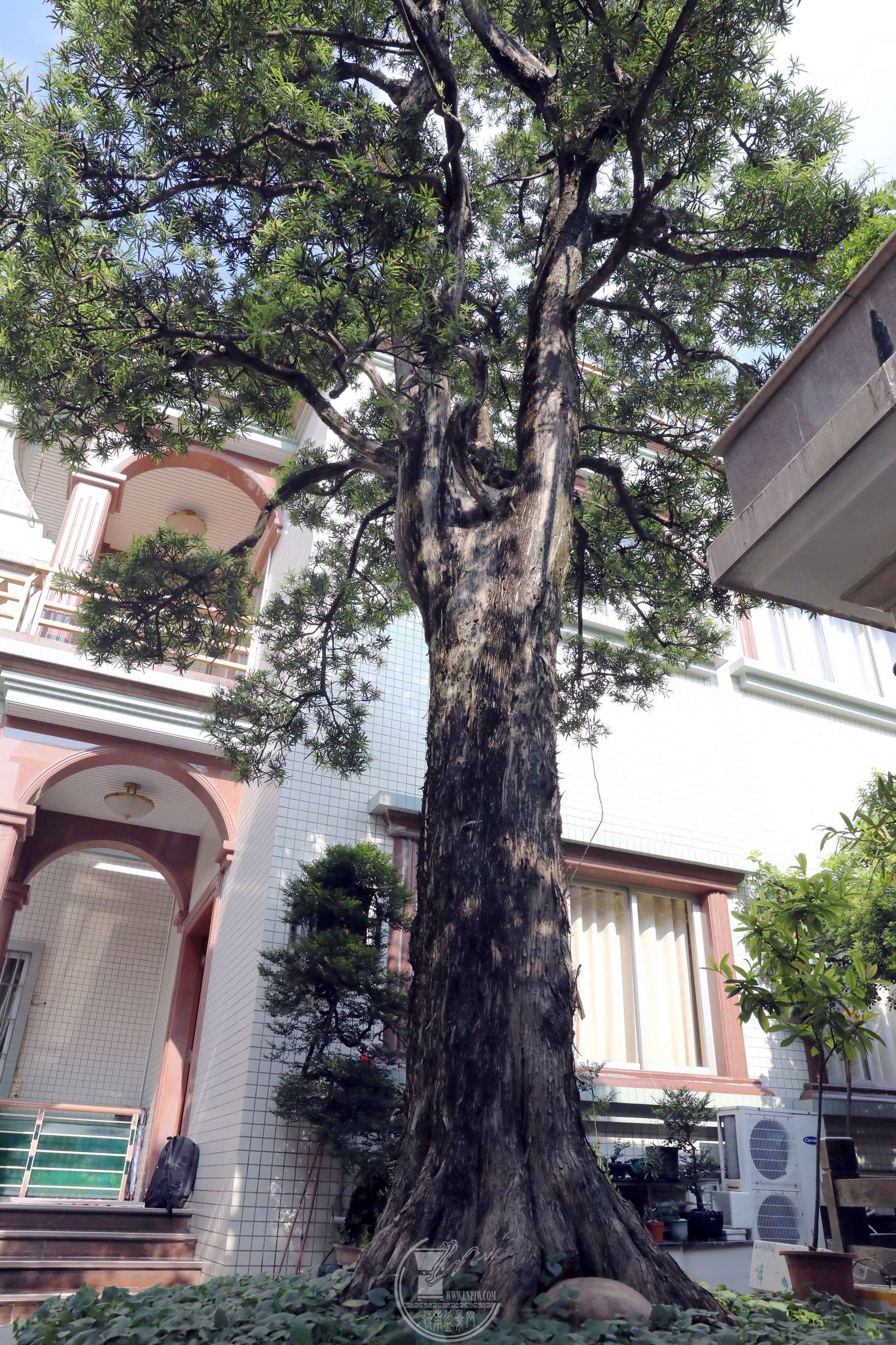 4BG1A6333.jpg