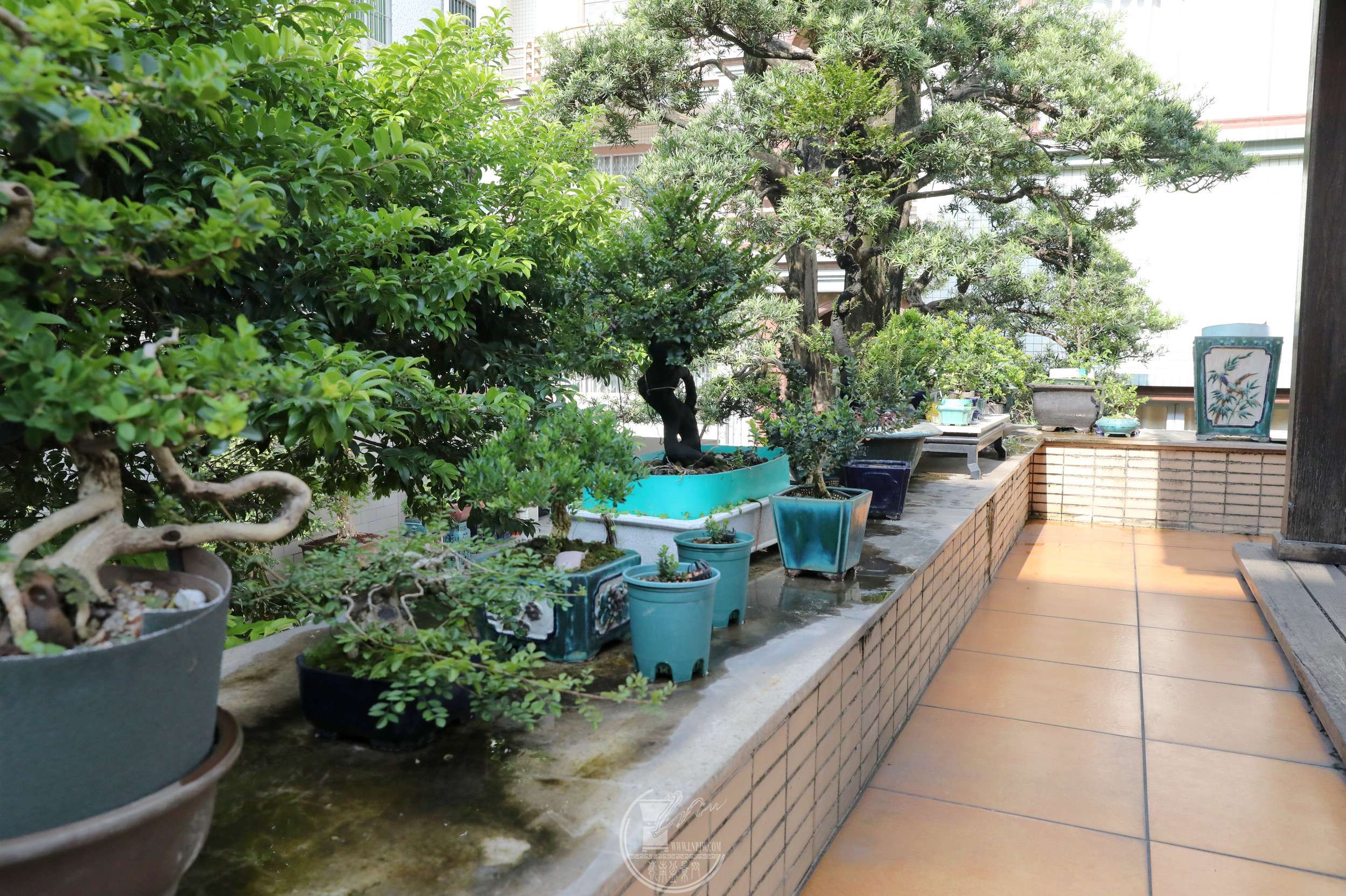 10BG1A6322.jpg