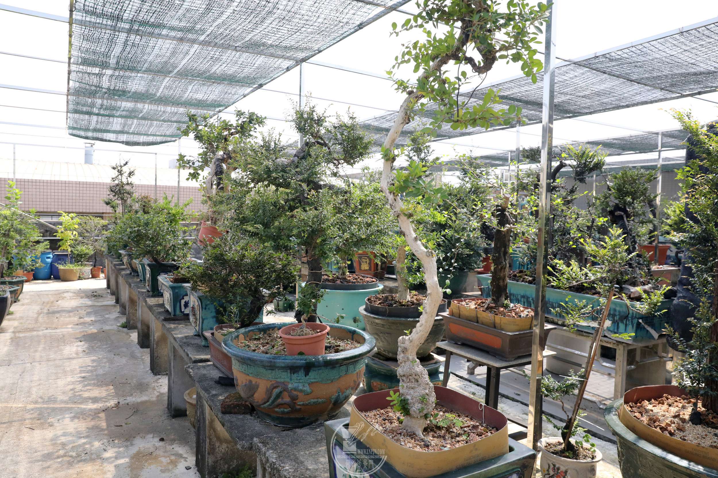 19BG1A6390.jpg