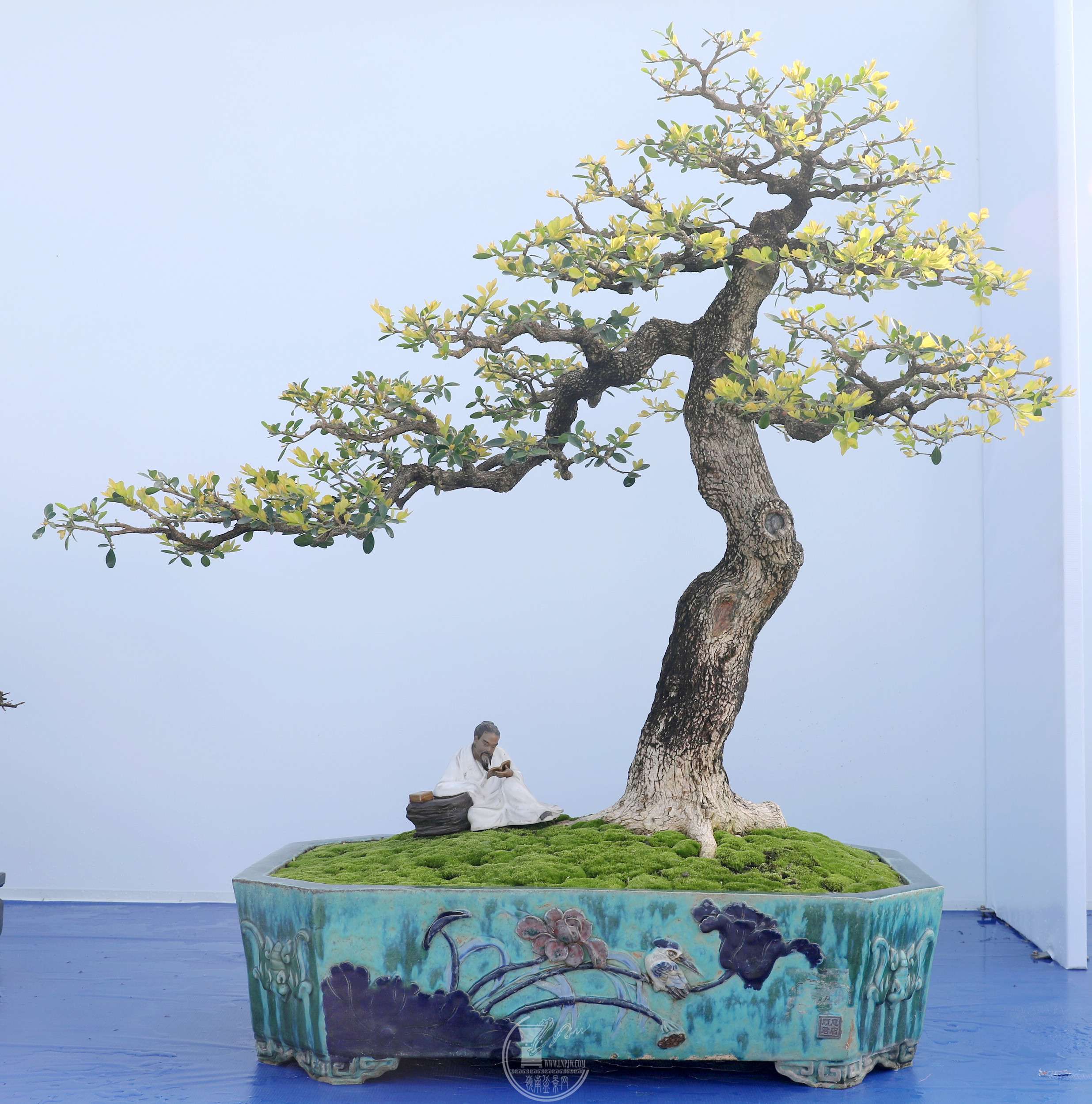 32֣         140X80X105cm     2024辰.jpg