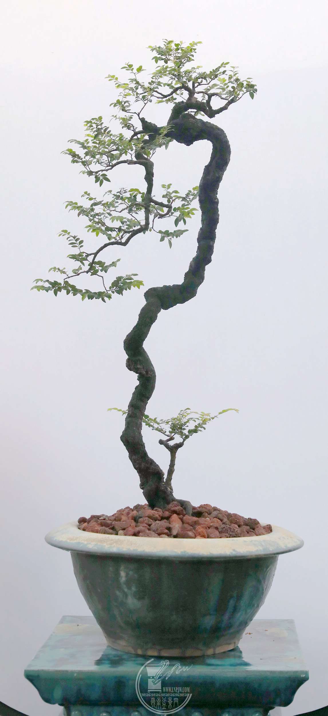33֣ڹ     40X40X100 cm 2023ڶϷĻߺ辰.jpg