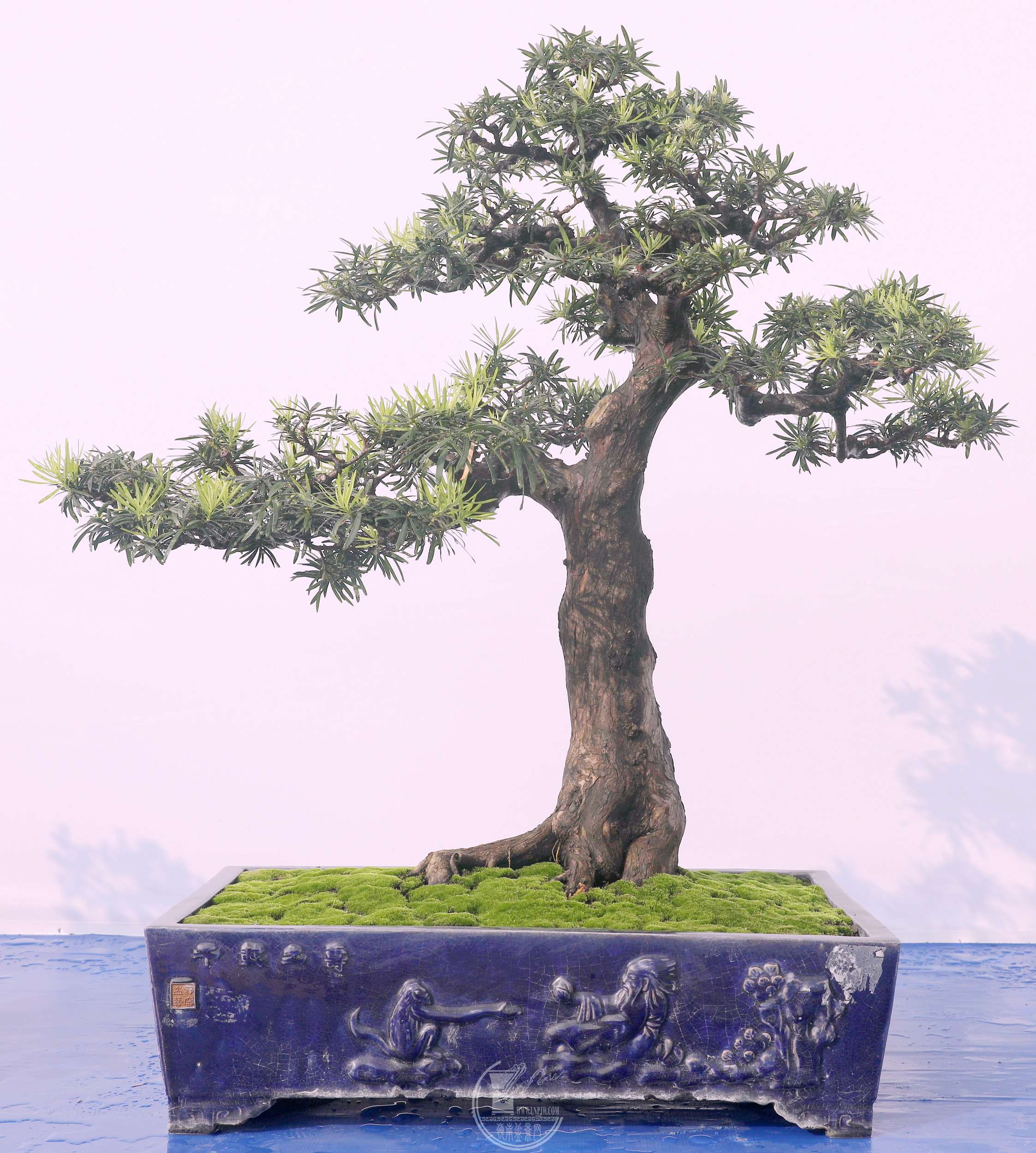 35֣޺  100X50X90cm  2024辰Ļ߹㶫ʡЭԱ.jpg
