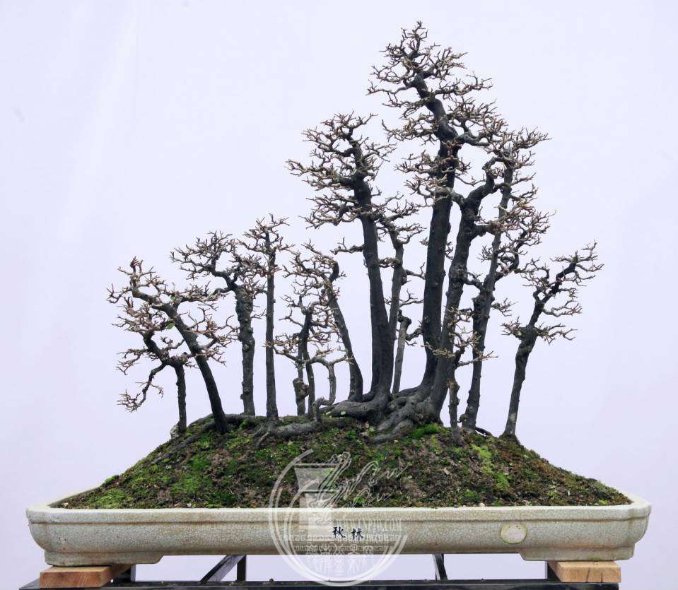 ţ109չߣ񻪡֣ڹ.png