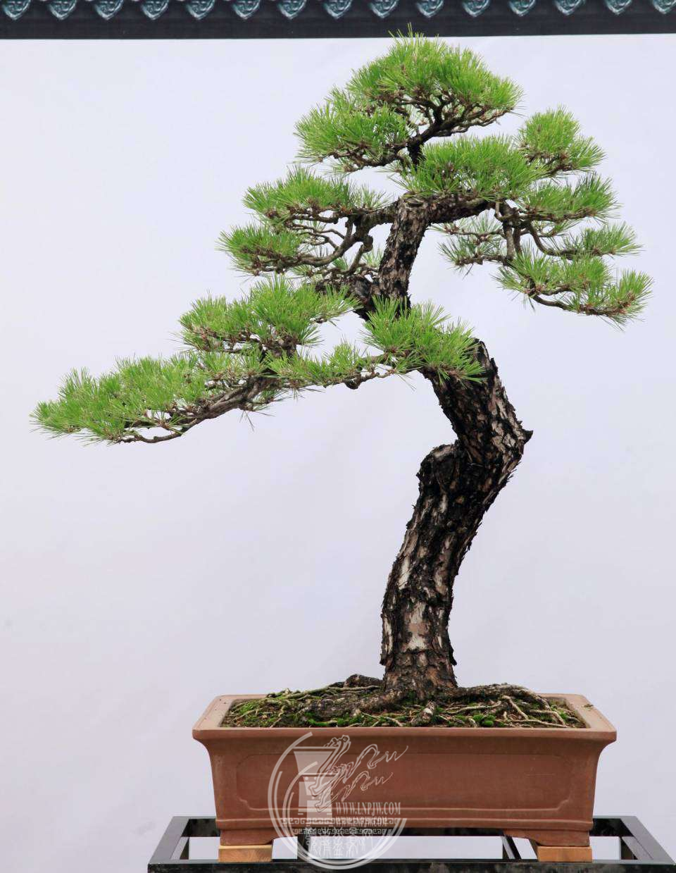 ţ258չߣ̹⡢֣ɡӭ.png