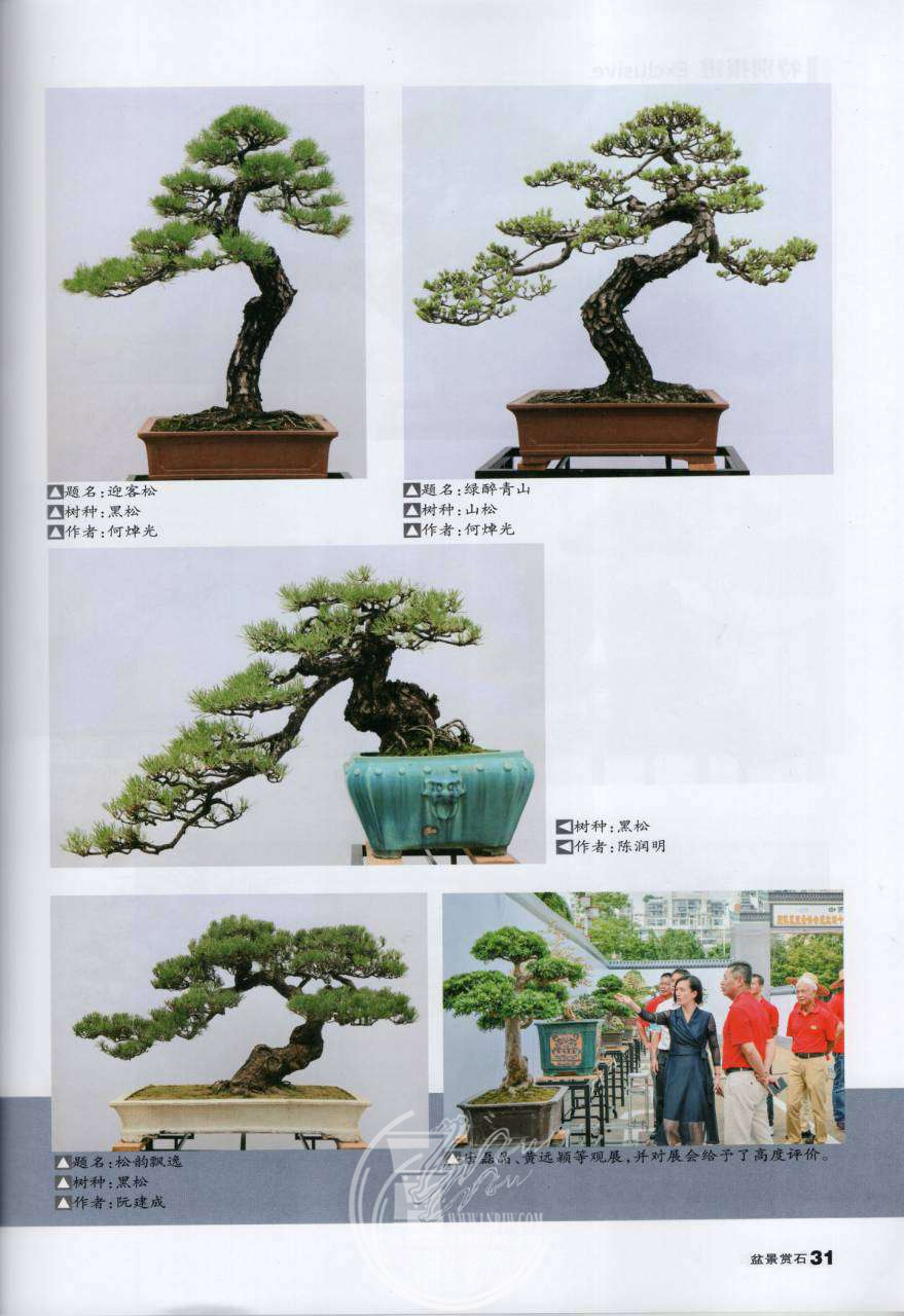 4d2bd12d-6a7b-491a-96f2-cc3bf4f19684.png
