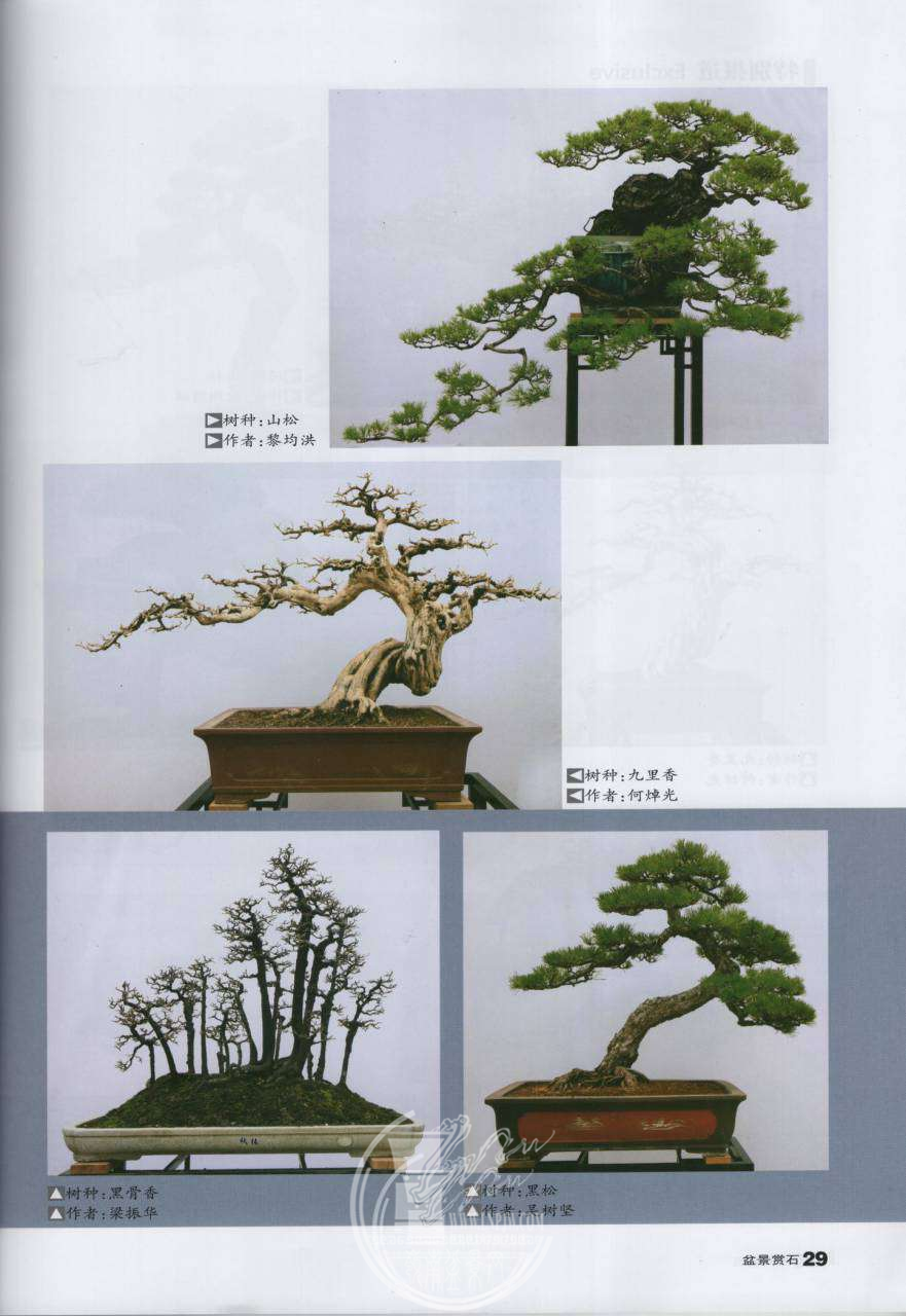 45e7e51e-81e2-4b70-bd3d-0c51c62a6bb1.png