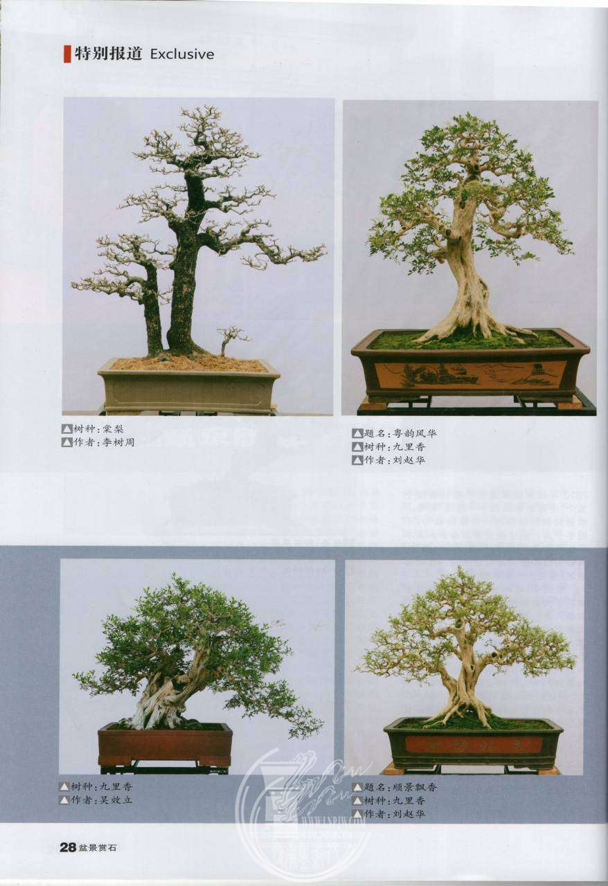 bb115a9d-7b08-4a6c-a988-64dd324e8da2.png