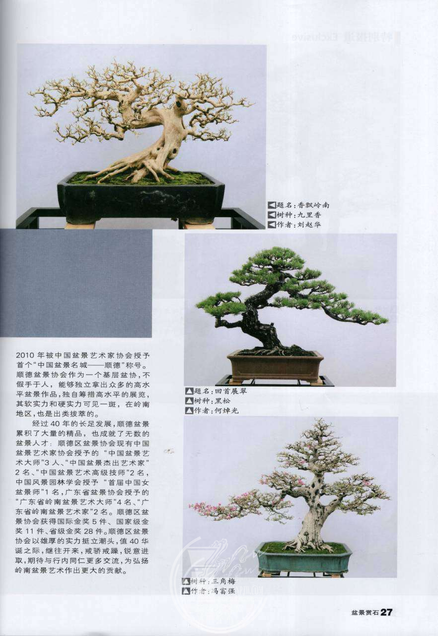 de5c8c98-93e9-4745-b658-a305c23b46f3.png